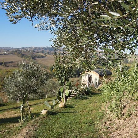 La Luna Nell'Orto-Casa Vacanza Ecologica E Agricoltura Biodinamica Barchi Exterior foto