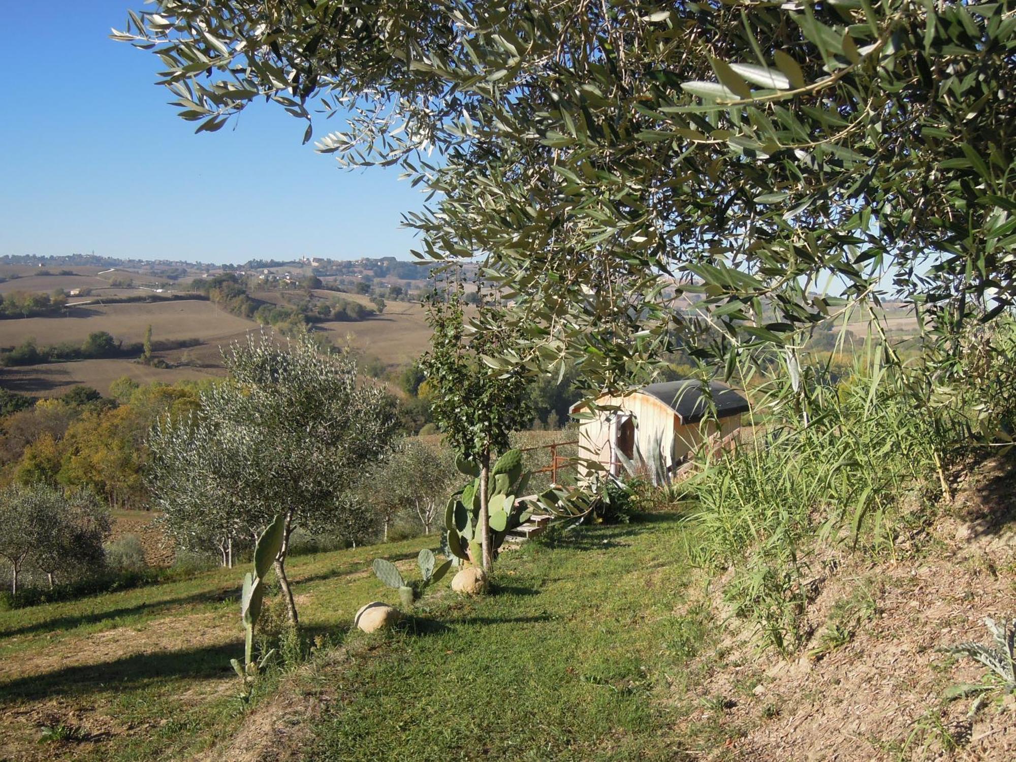 La Luna Nell'Orto-Casa Vacanza Ecologica E Agricoltura Biodinamica Barchi Exterior foto